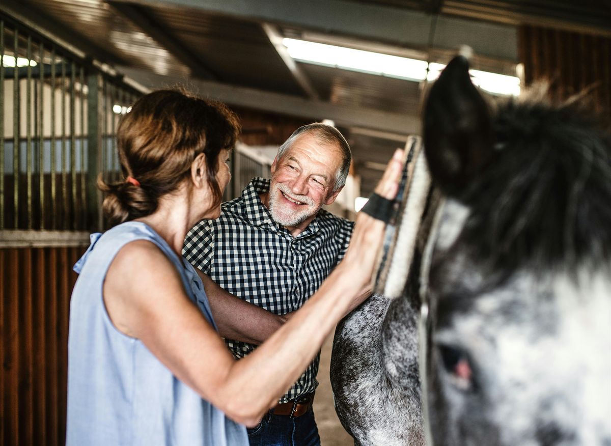 Discover Horses: hands-on horsemanship for all ages | Event in Ottawa | AllEvents