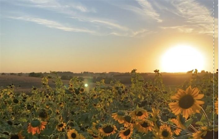 Sunset on the Farm: An Evening to Support Investigate Midwest & IowaWatch, 14 September | Event in Iowa City