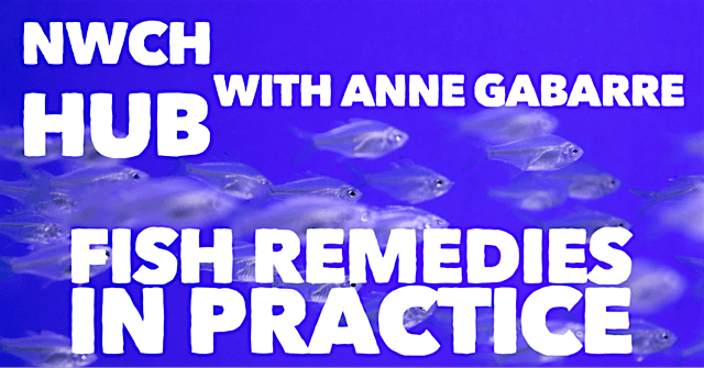 NWCH HUB: Fish Remedies in Practice, 17 May | Event in Stockport | AllEvents