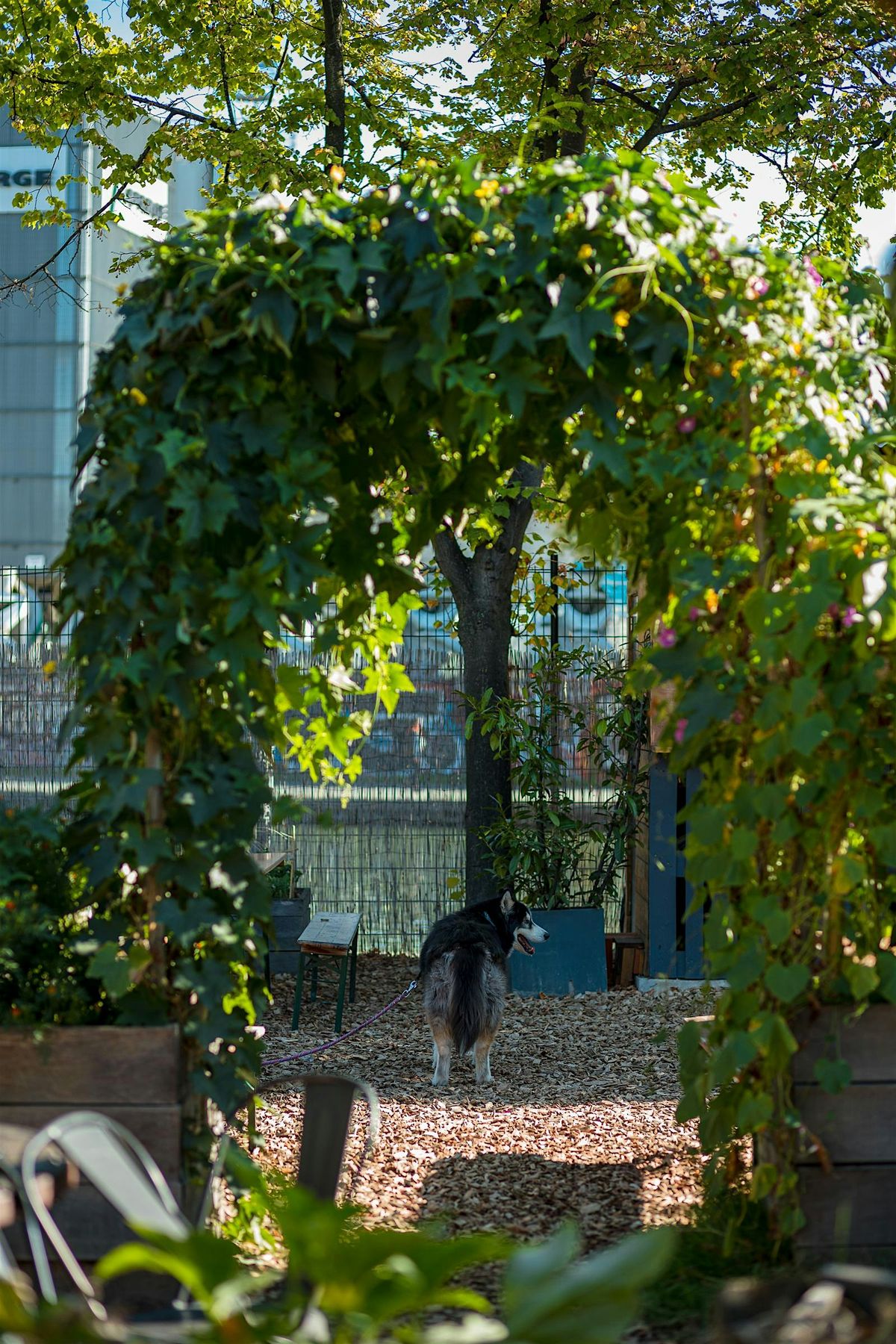 Balade verte au Jardin21, atelier jardinage, 17 May | Event in Paris | AllEvents