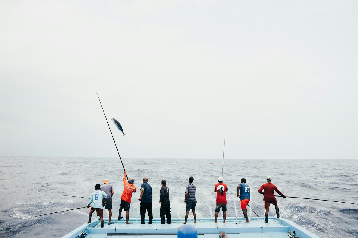 Maldives tuna; surviving as a small-scale fishery in a big ocean | Event in Barcelona | AllEvents