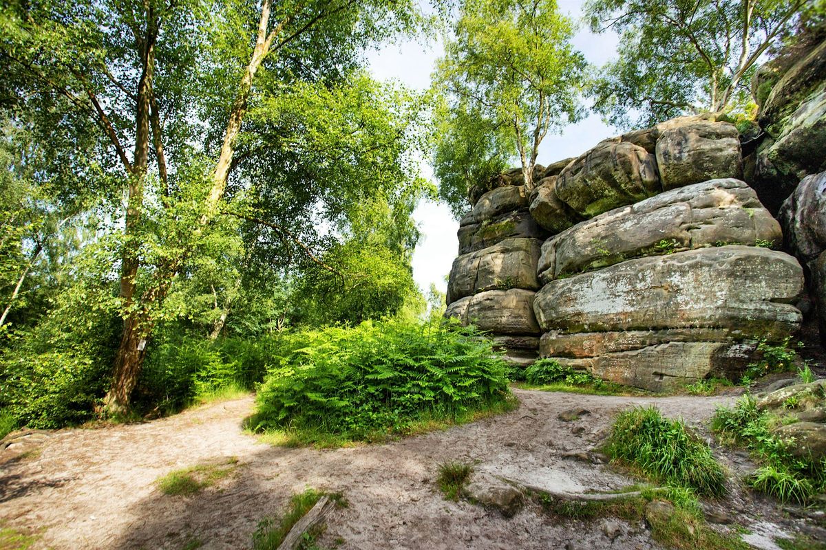 HIKE 21km Eridge - ancient Towering Rock formations and Manor Houses, 26 October | Event in London | AllEvents