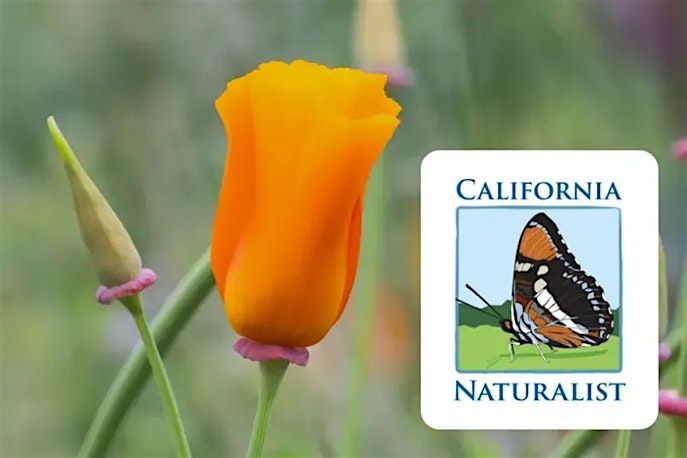 UC Environmental Stewards: California Naturalist Certification Course, 4 October | Event in Oakland | AllEvents