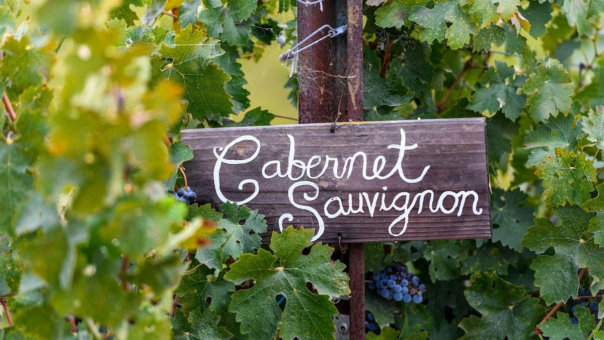 Premium Red Wine Series: Cabernet Sauvignon, 23 October | Event in Vancouver | AllEvents