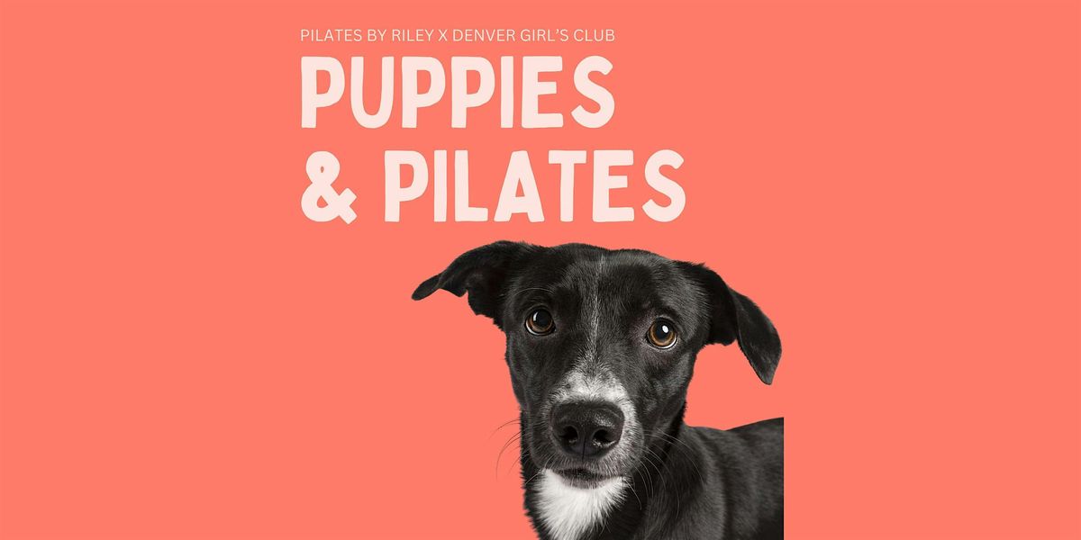 Puppies & Pilates!, 3 August | Event in Denver | AllEvents