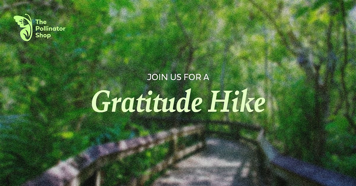 Gratitude Hike | Event in St. Petersburg | AllEvents
