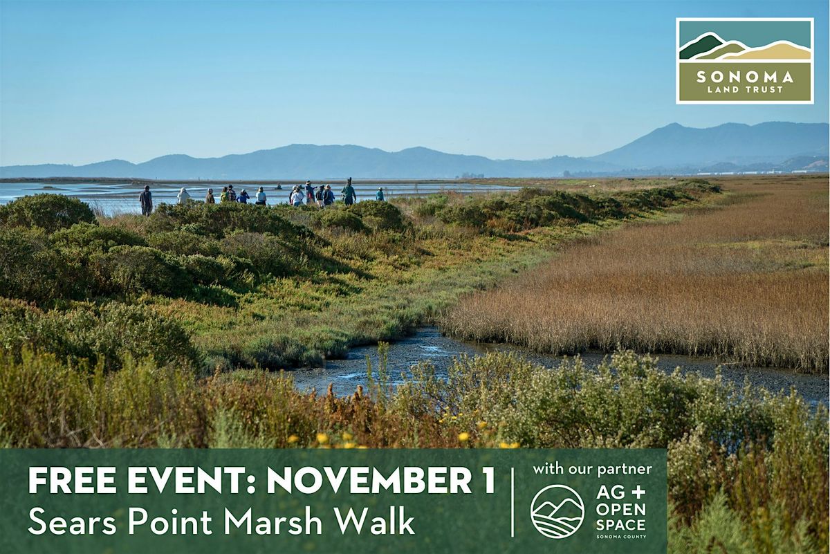Sears Point Marsh Walk 11-1-25, 1 November | Event in Sonoma | AllEvents