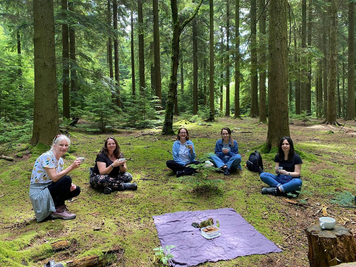 Forest Bathing introductory session at Queen Elizabeth Country Park | Event in Horndean | AllEvents