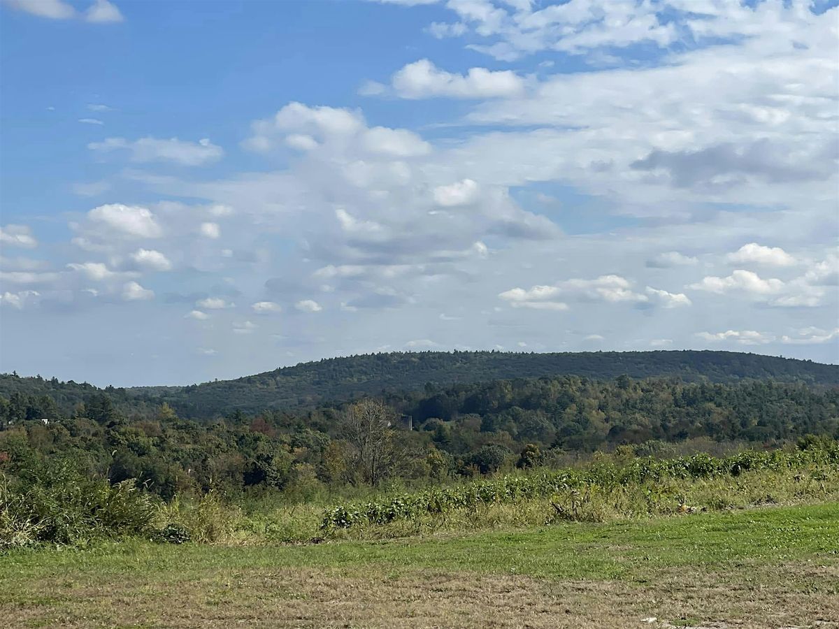 Yoga at East View Farm with The Haven, 13 July | Event in Rutland | AllEvents