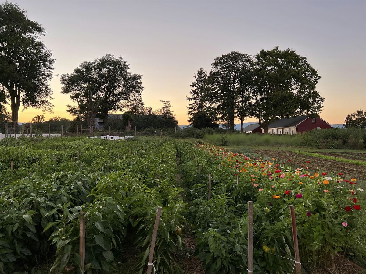 3rd Annual Feast in the Field, 6 June | Event in Upperville | AllEvents