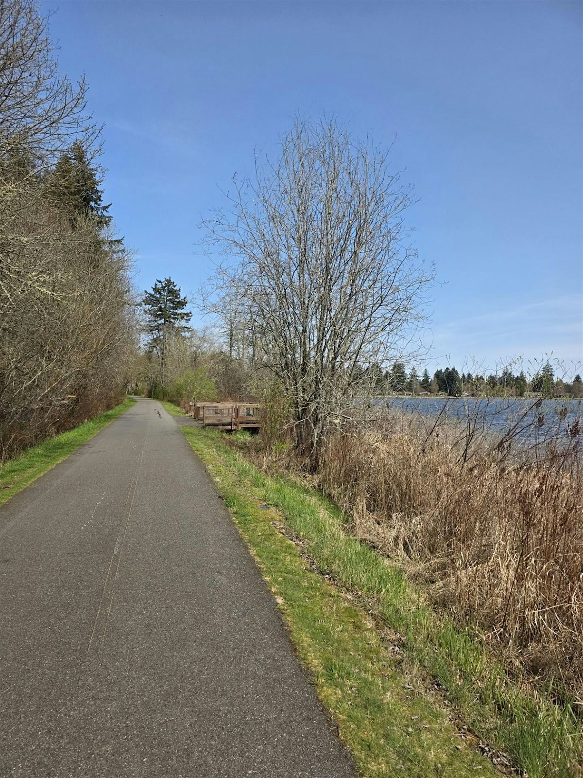Sunday Slow Roll, 25 May | Event in Olympia | AllEvents