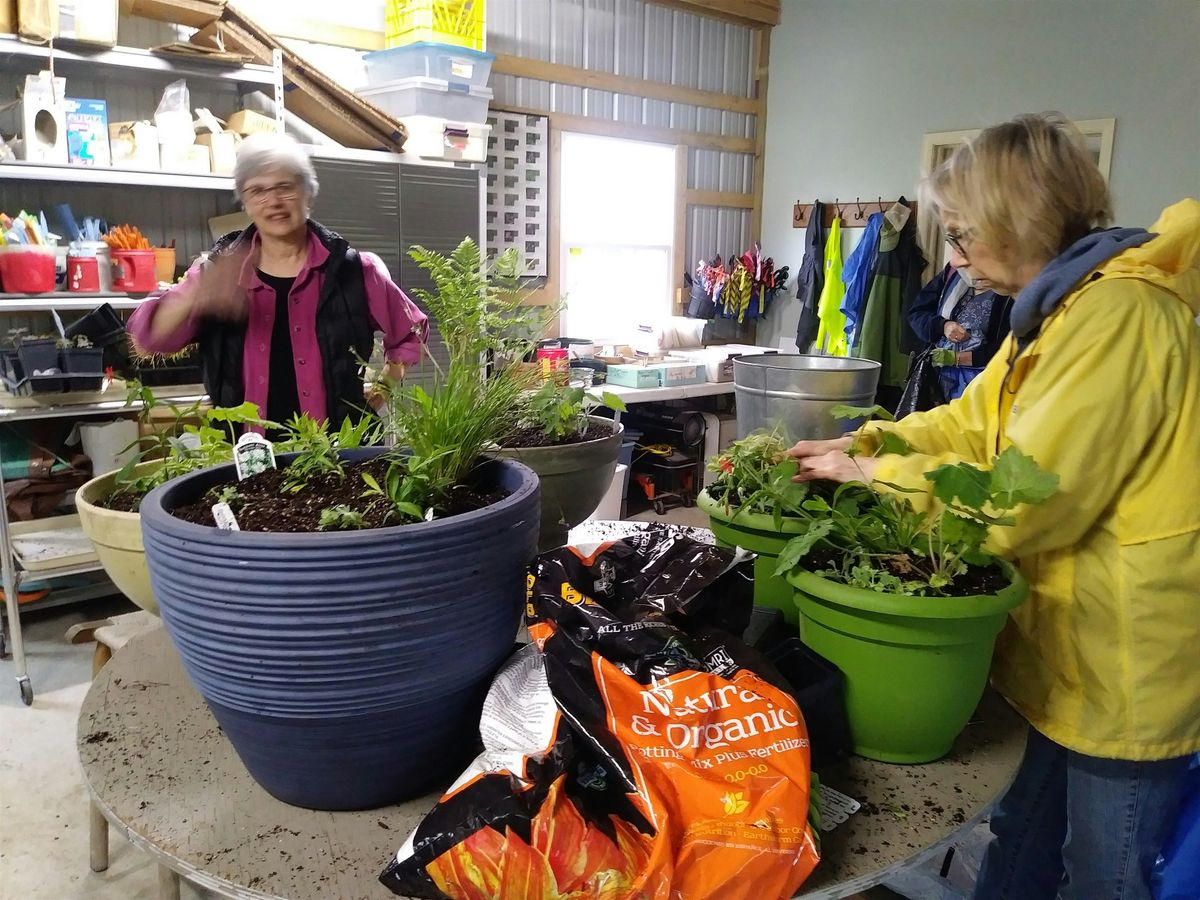 Create a Native Container Garden -Fall, 2 August | Event in Orefield | AllEvents