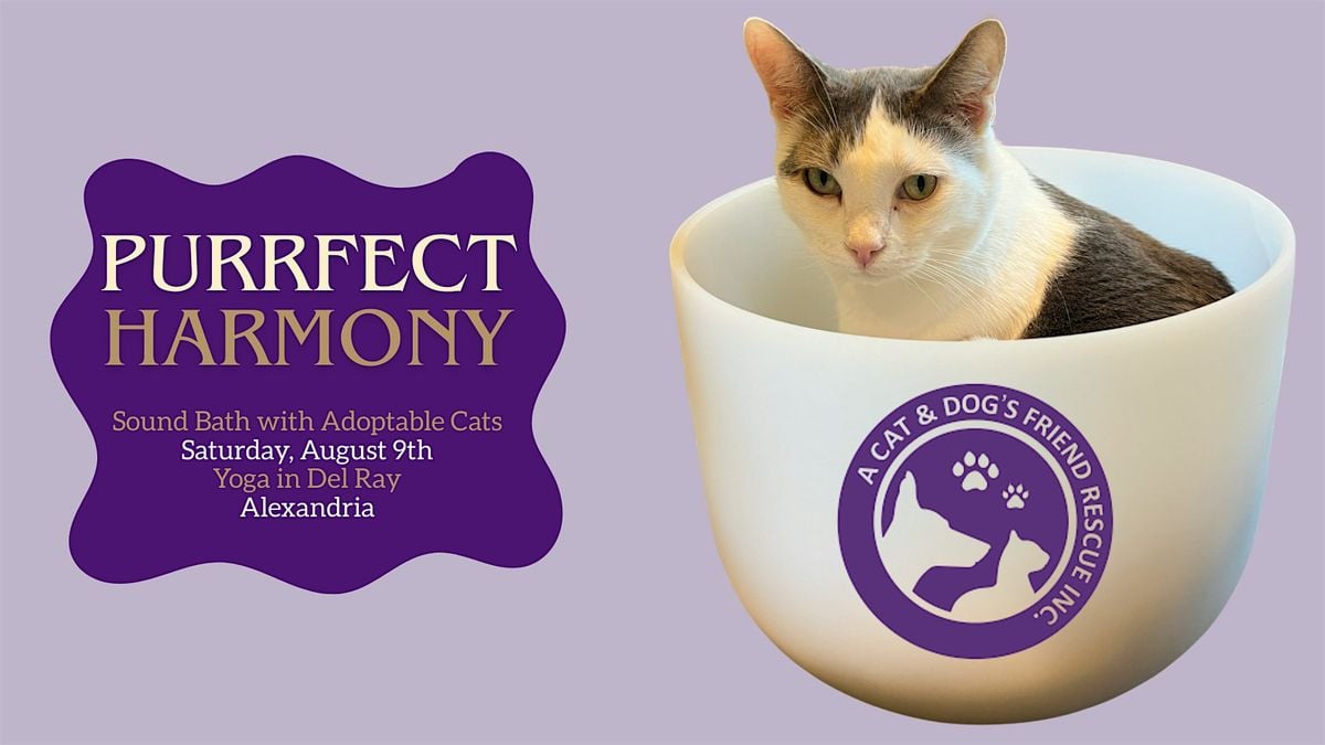Purrfect Harmony: Sound Bath with Adoptable Cats, 9 August | Event in Alexandria | AllEvents