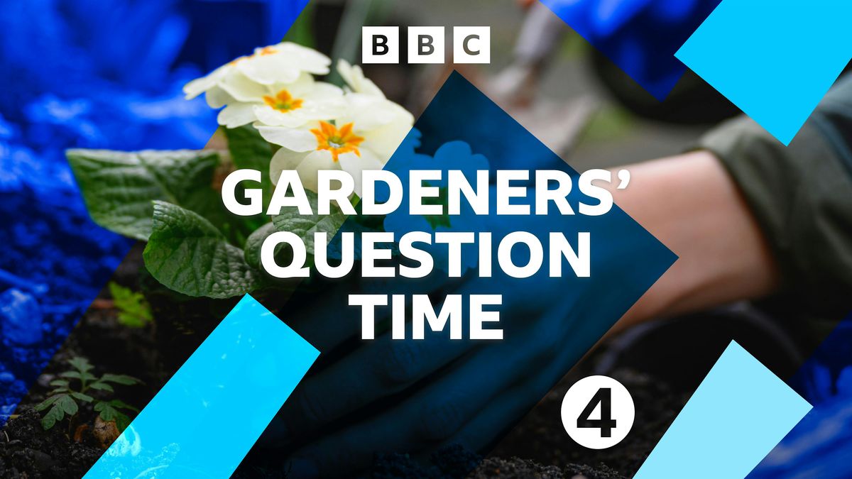 Gardeners' Question Time at St Mary's Walthamstow, 3 November | Event in London | AllEvents