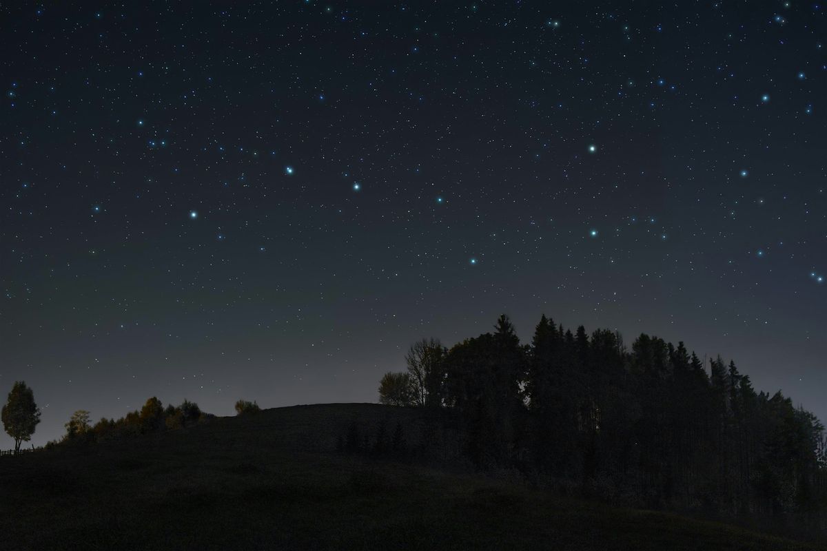 Night Walk, 12 May | Event in Bristol | AllEvents