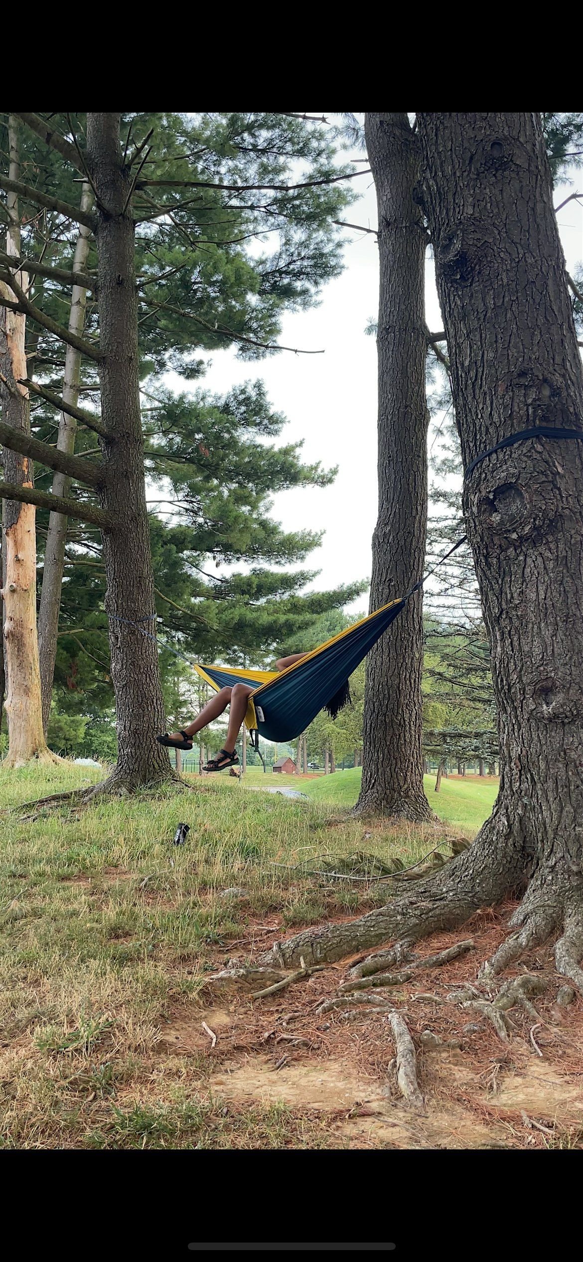 Sunday Grounding Community Hike + Hammock, 3 August | Event in Wilmington | AllEvents