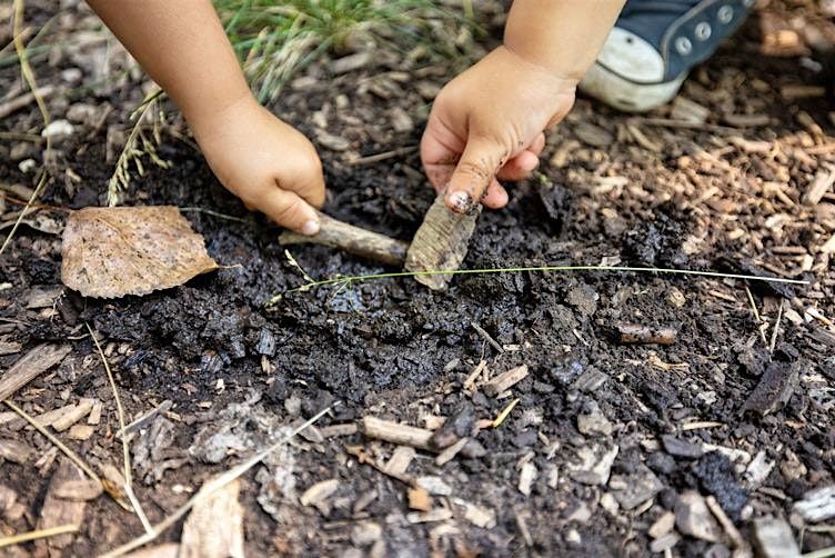 Jr. Forest Explorers // Explorateurs Forestiers Juniors, 29 June | Event in Toronto | AllEvents