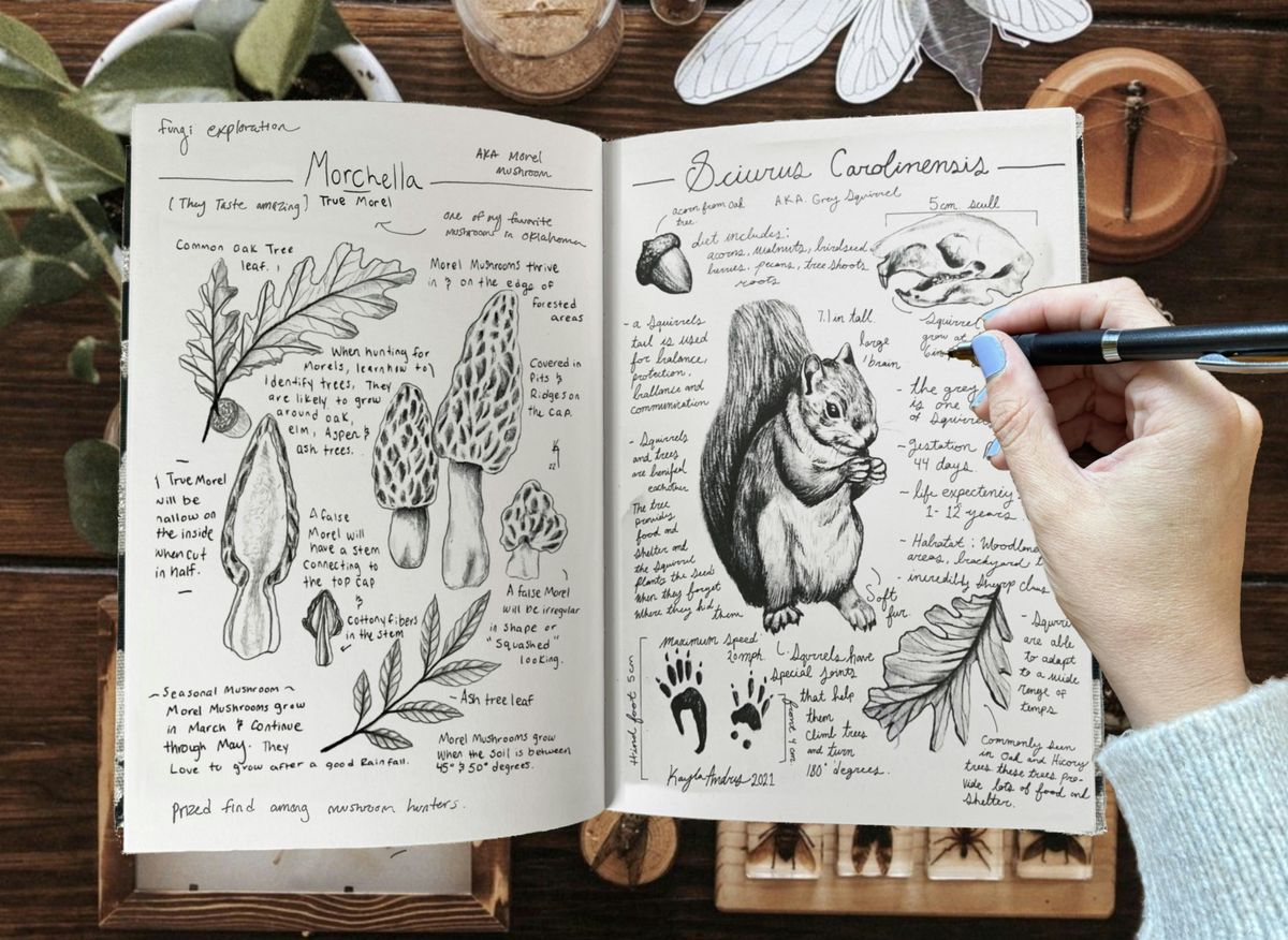 Scientific Illustration Art Workshop, 30 May | Event in Tulsa | AllEvents