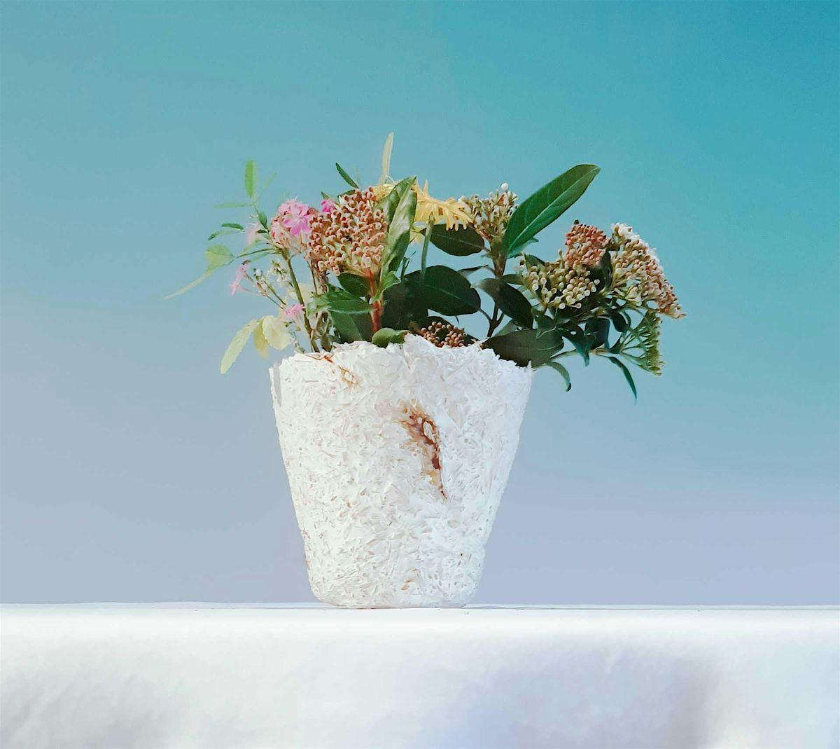 Myco Materials: Make Your Own Mycelium Flower Pot – A Hands-On Workshop, 24 October | Event in Brooklyn