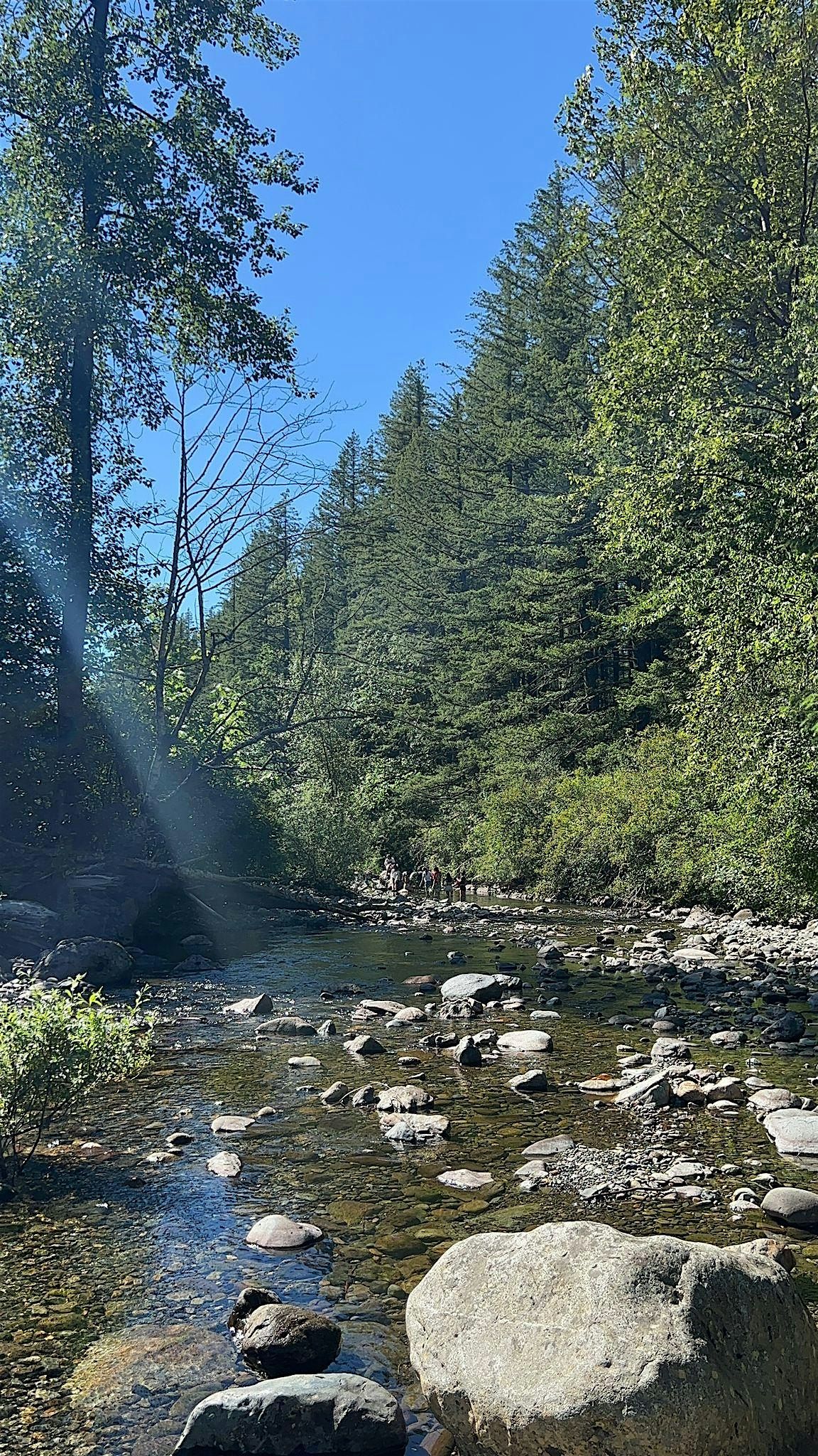 2nd  Annual Wasat Family Retreat - Verses of Existence, 15 August | Event in North Bend | AllEvents