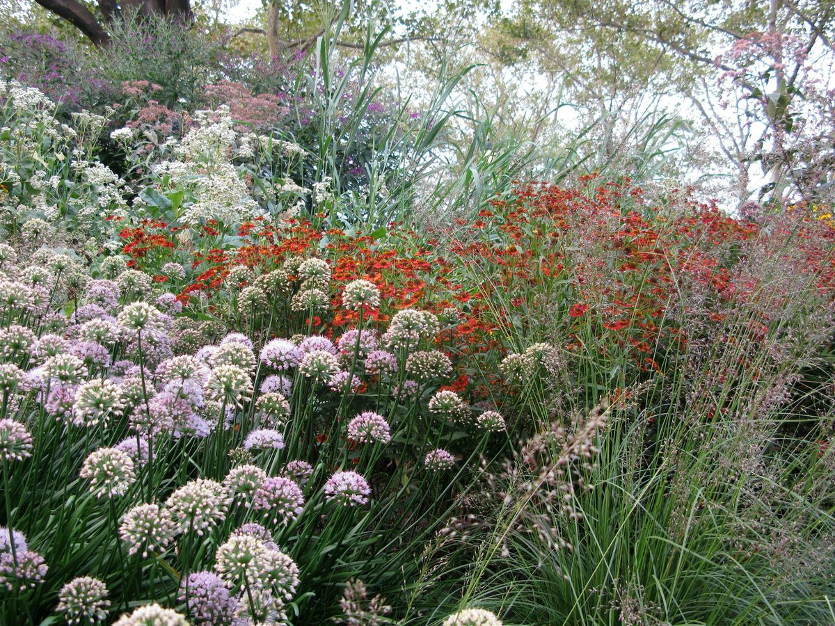 Garden Workshop: Perennial Plant Care (with plants to take home!), 3 May | Event in New York | AllEvents