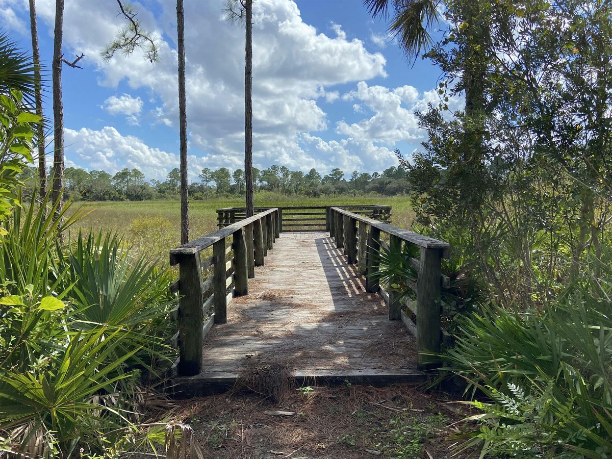Painting in Nature, 29 May | Event in Immokalee | AllEvents