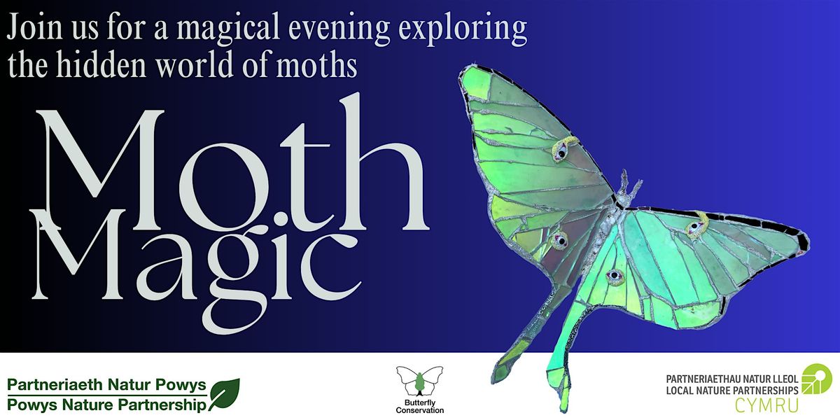 Moth Magic:, 1 August | Event in Berriew | AllEvents