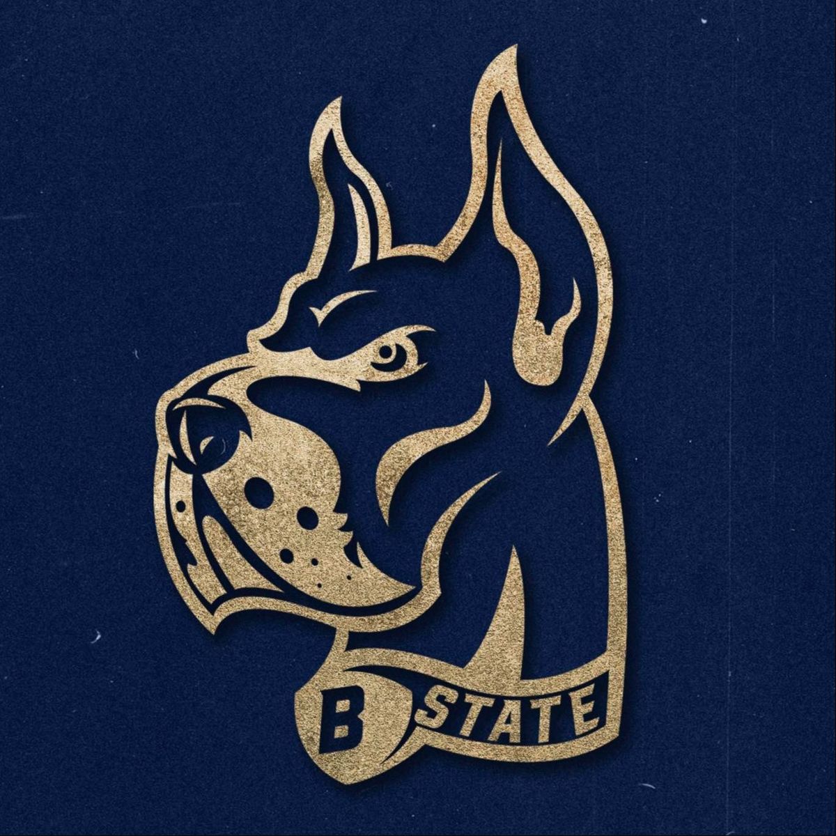 Bluefield State College Big Blues vs. Virginia Union Panthers, 31 October | Event in Bluefield | AllEvents