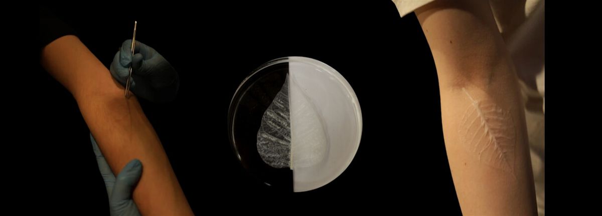 Becoming Plant: Short artist lecture Workshop, 9 November | Event in Berlin | AllEvents