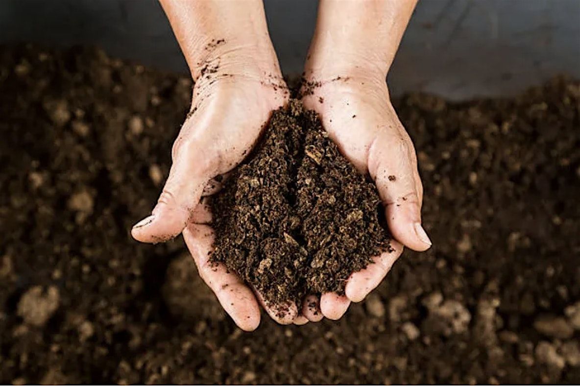 Composting 101, 9 August | Event in Denver | AllEvents