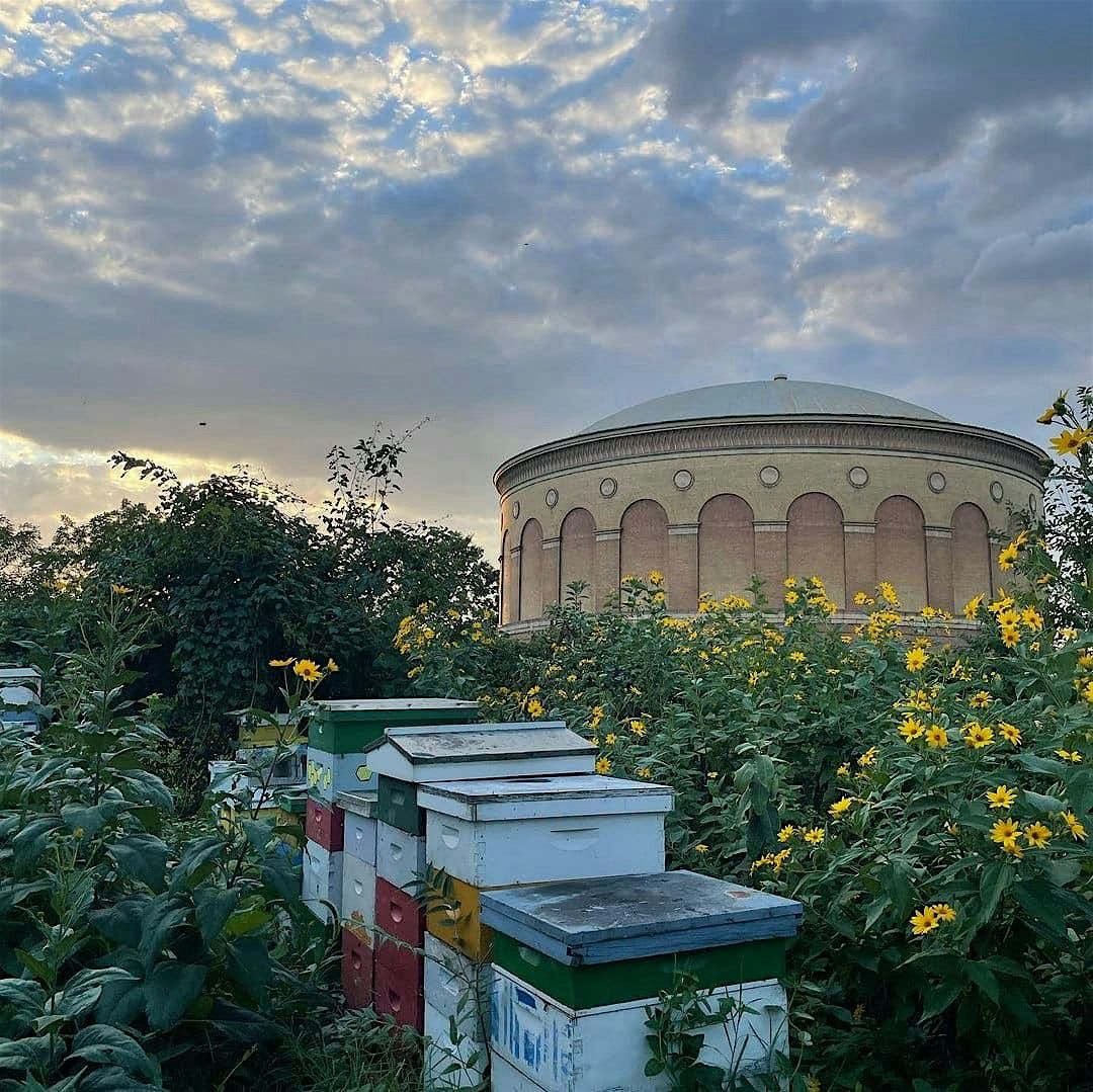 Composting 101, 13 September | Event in Baltimore | AllEvents