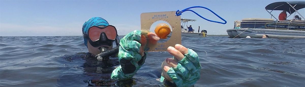 7-15-2025 Oyster Restoration and Scallop Recreation, 15 July | Event in New Port Richey | AllEvents