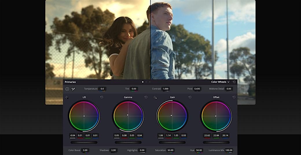 Corrección de color con Davinci Resolve, 2 October | Event in Bilbao | AllEvents
