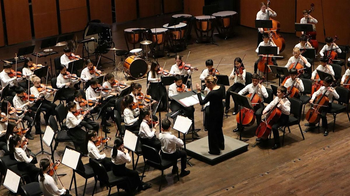 Debut Orchestra & String Ensemble in Concert, 7 December | Event in Fairfax | AllEvents