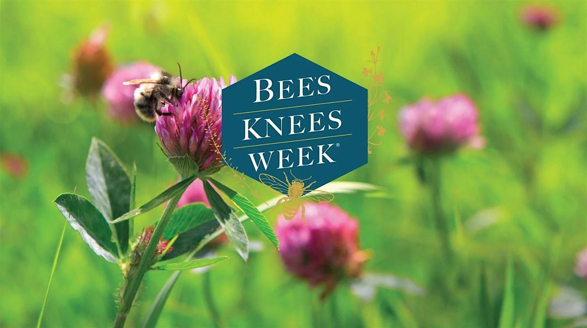 Bee's Knees Day, 20 June | Event in Portland | AllEvents