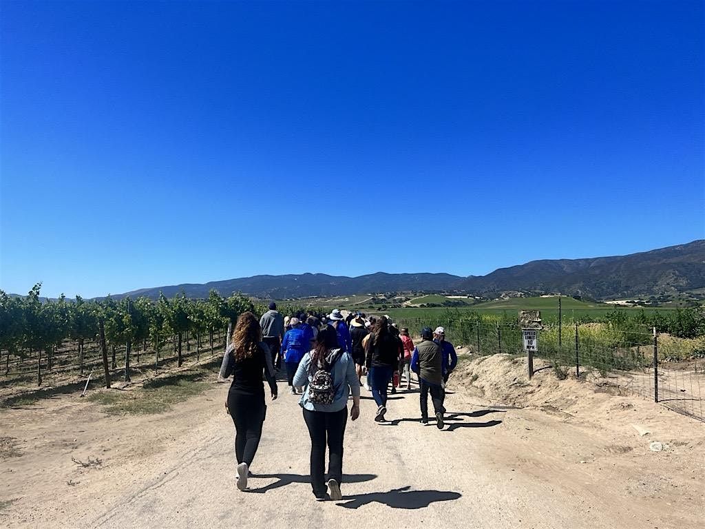 BZPMC: Hike & Wine at the Vineyards | Caminata y vino en el viñedo, 13 July | Event in Soledad | AllEvents