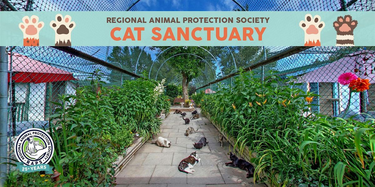 Visit the RAPS Cat Sanctuary | Event in Richmond | AllEvents