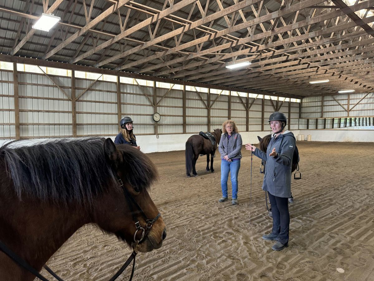3-Day Icelandic Horse Clinic with Disa Reynis, 26 September | Event in Delhi | AllEvents