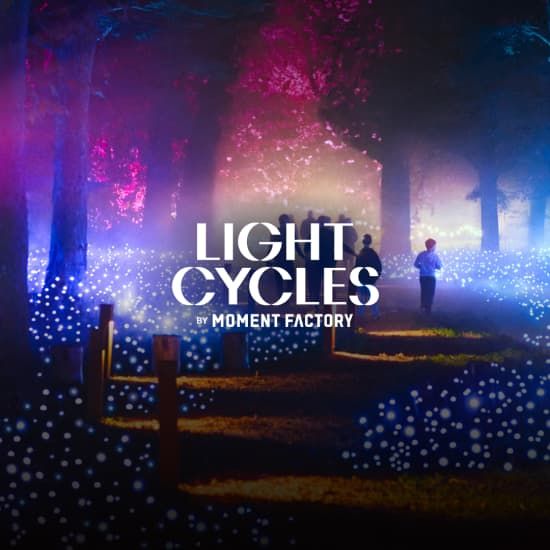 Light Cycles : Un parcours nocturne scintillant entre nature, lumière et sons, 10 December | Event in Pantin