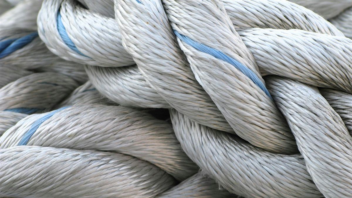 The Shape of Knots: From DNA to Shoestrings and Solar Flares, 9 June | Event in London | AllEvents