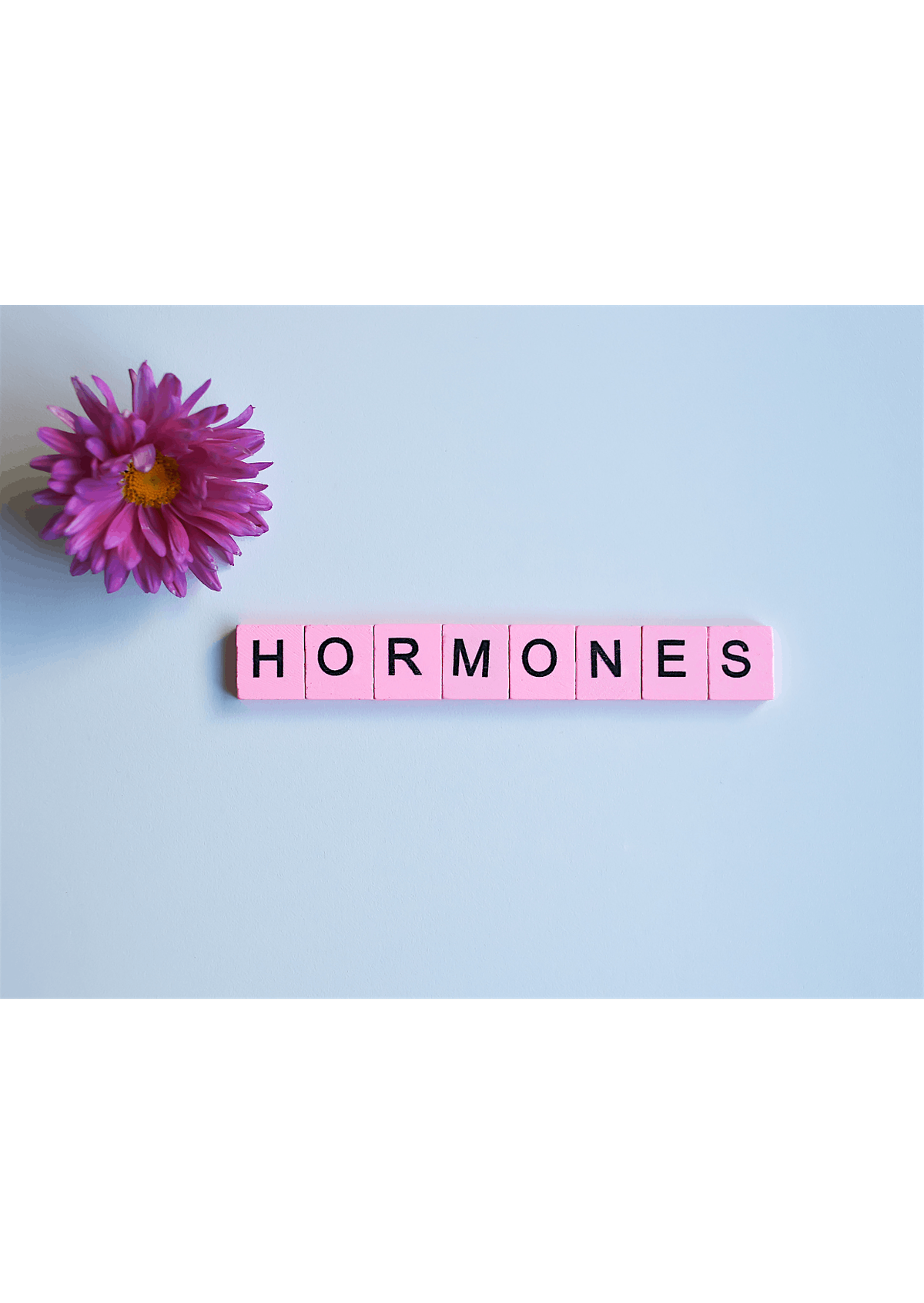 How To Balance Your Hormones Naturally - Dr Marilyn Glenville PhD, 21 June | Event in Lewes | AllEvents