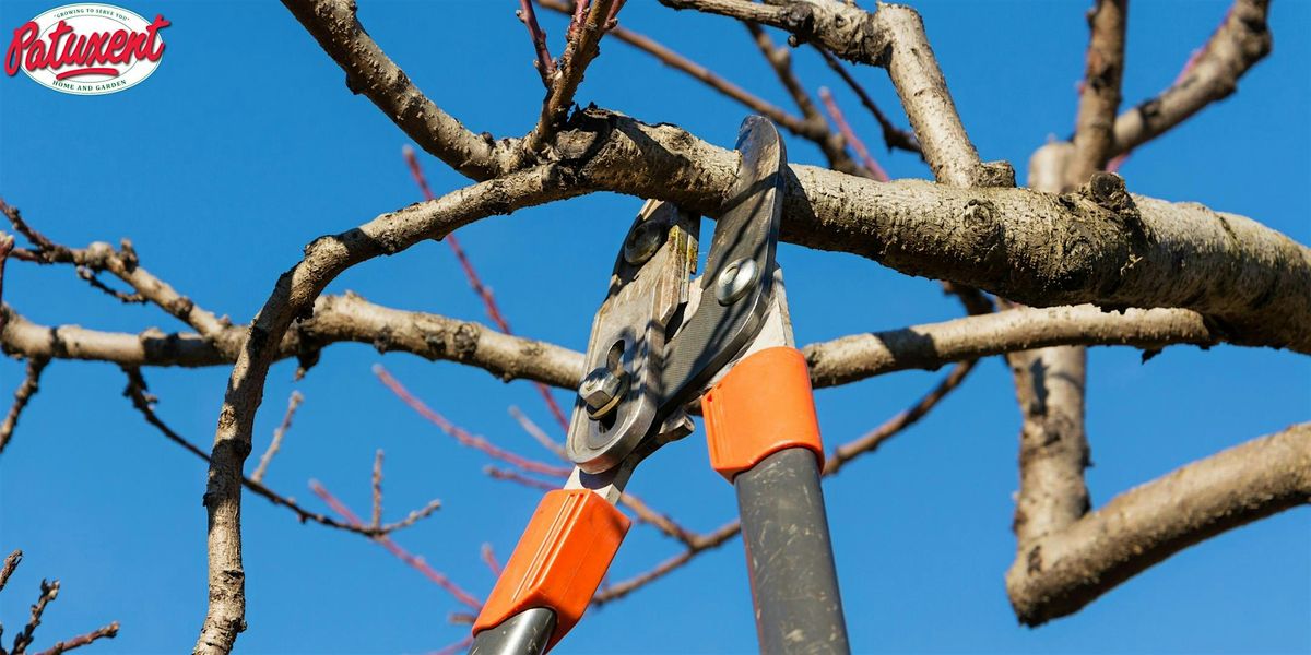Deciduous Trees And Shrubs Pruning Seminar | Event in Bowie | AllEvents