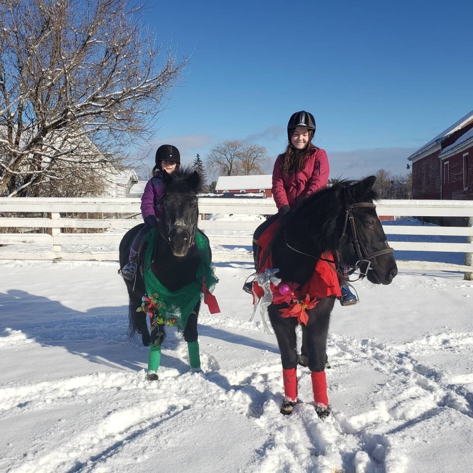 Hemphills Holiday Parade, Hemphill's Horses, Feed, and Saddlery, Inc