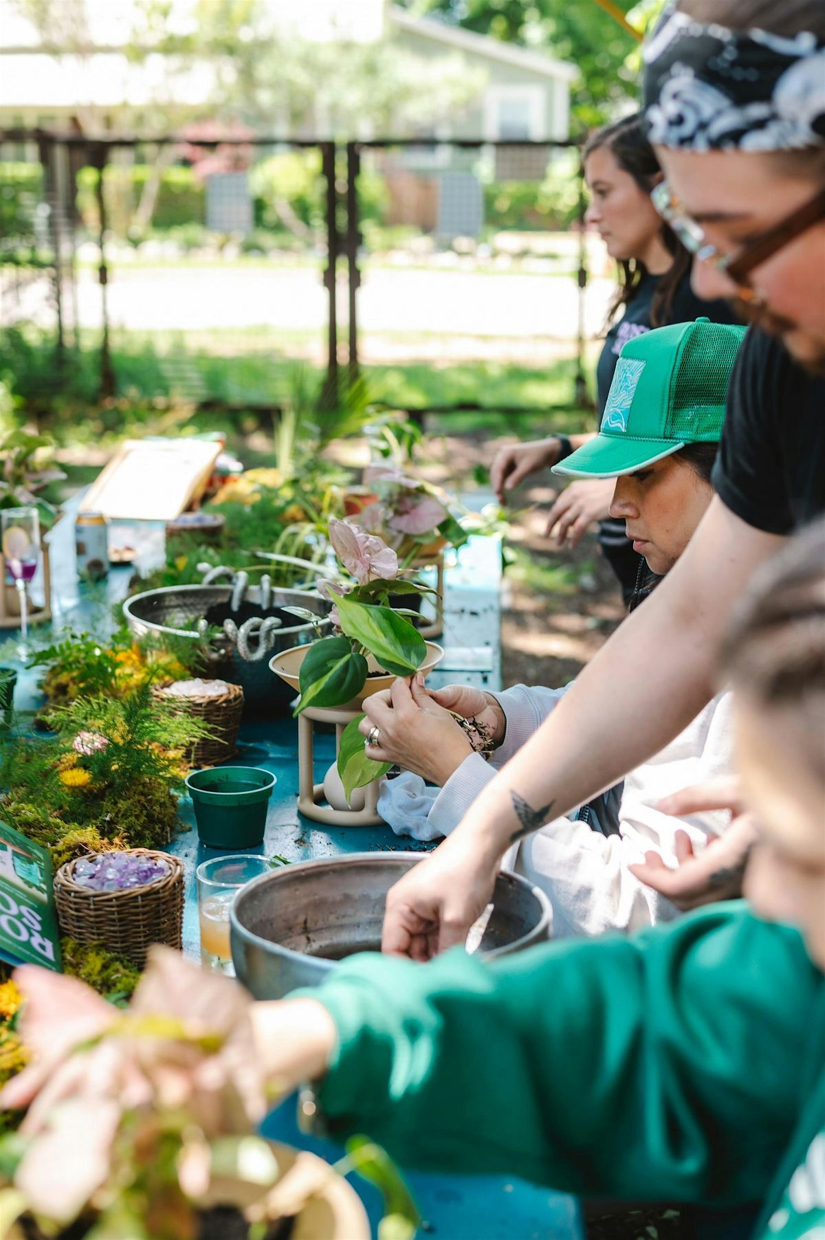 Plant Class w/ We The Wild, 23 August | Event in Buda | AllEvents