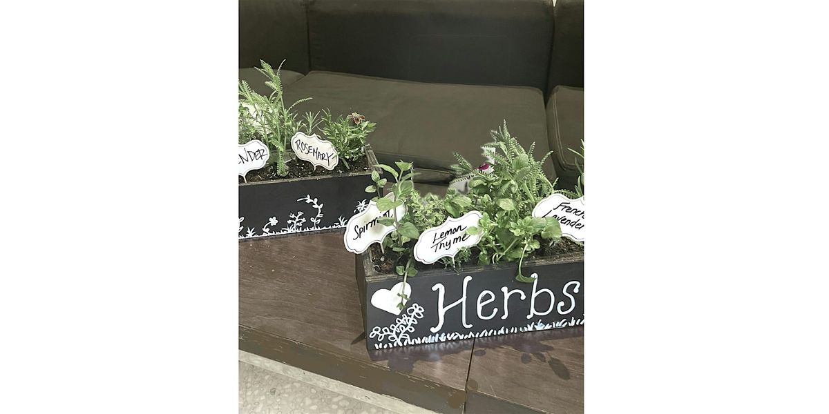 Rustic Cork, Mill Creek- Herb Cocktail Garden, 10 July | Event in Mill Creek | AllEvents