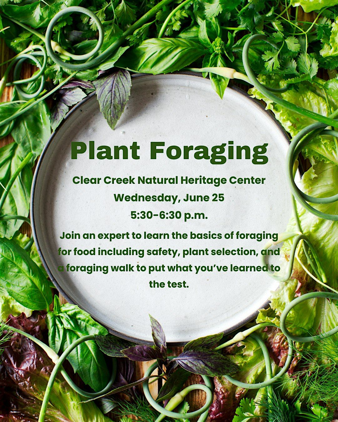 Plant Foraging, 25 June | Event in Denton | AllEvents
