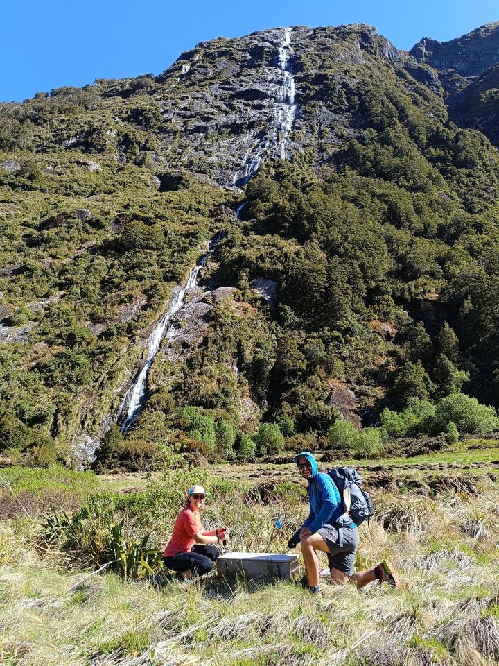 Volunteer Recruitment & Info Evening, Hello Ranger, Northlake, Wanaka ...