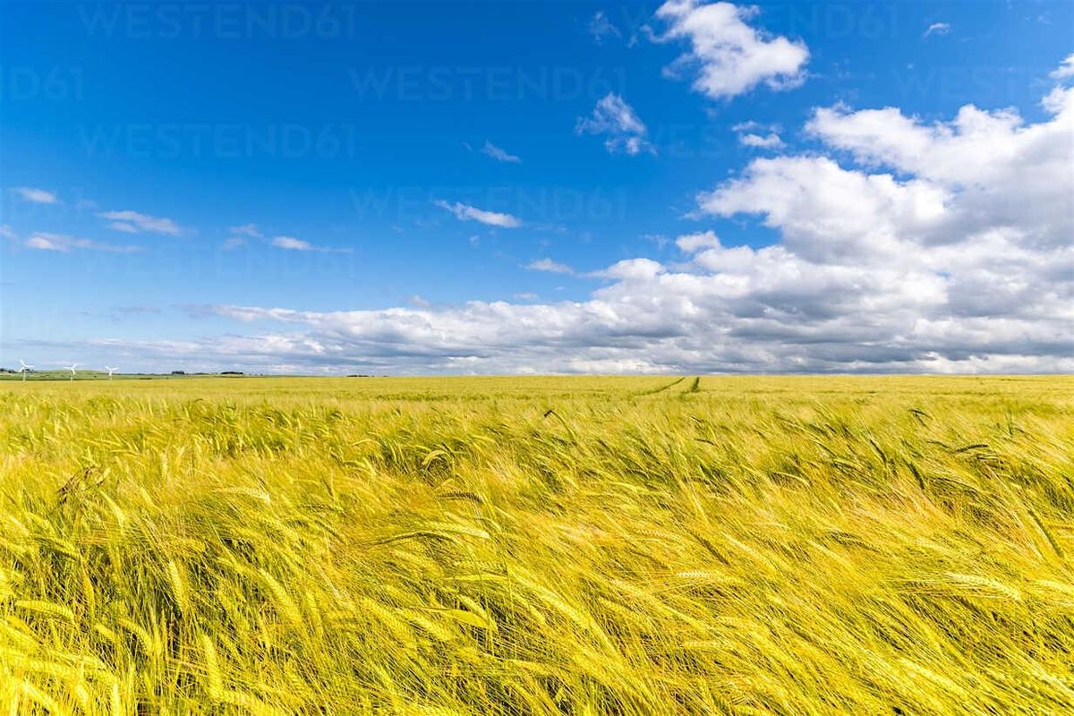 Farm Succession Planning Workshop, 30 October | Event in Rexburg | AllEvents