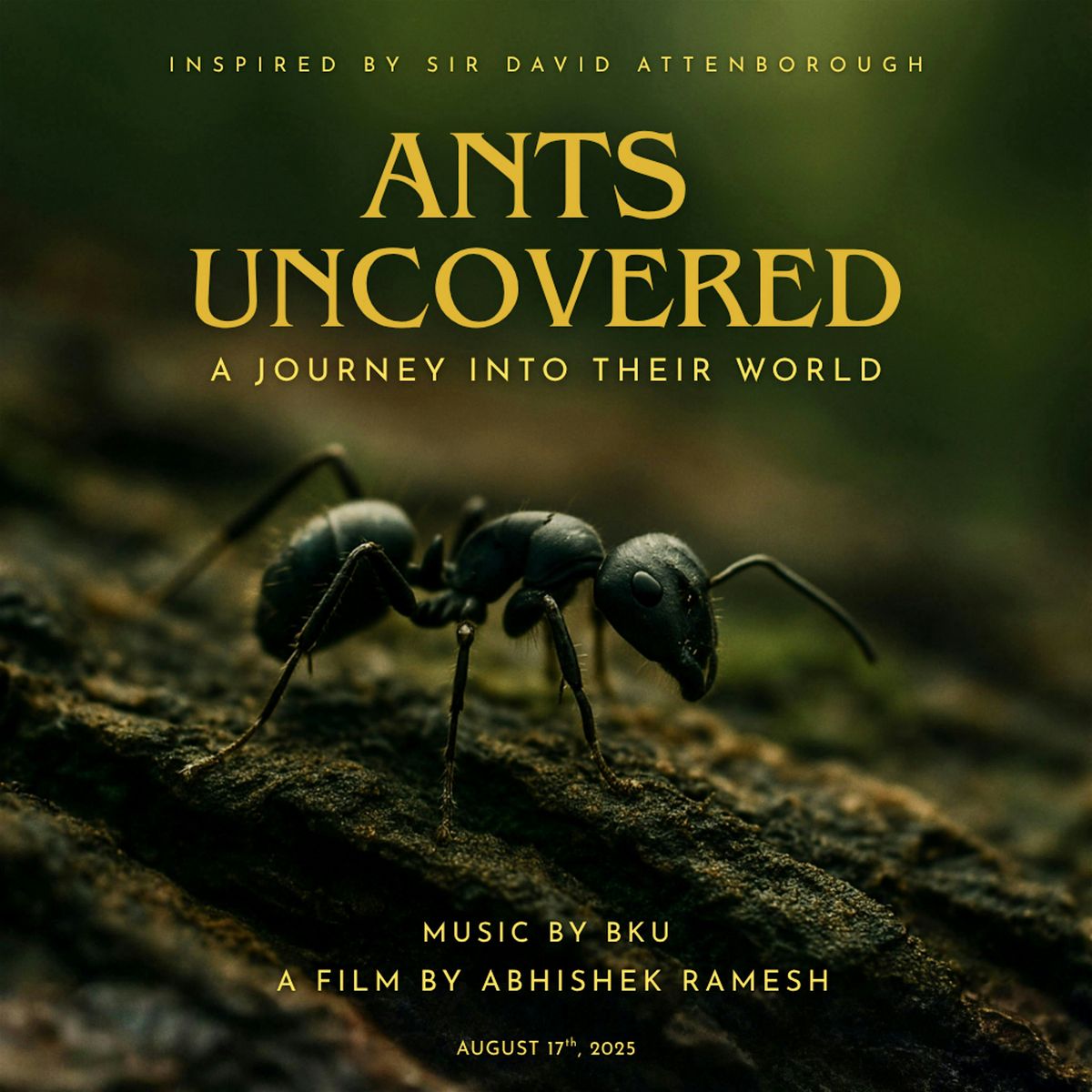 Ants Uncovered: A Short Documentary Premiere, 17 August | Event in Lexington | AllEvents