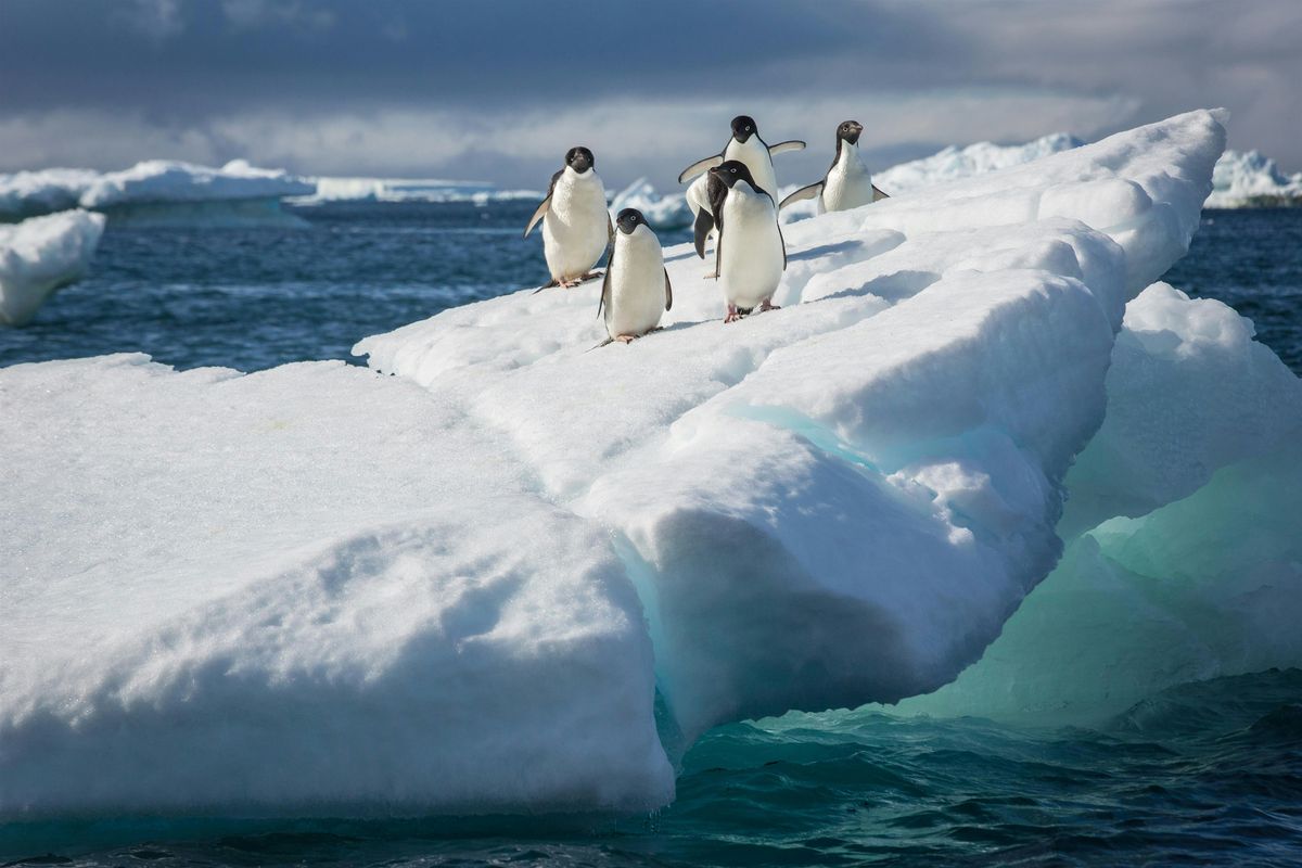 Antarctica Info Session, 18 October | Event in Fortitude Valley | AllEvents